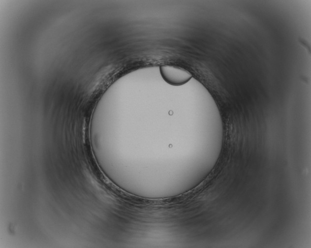 X0000103500694200809121012