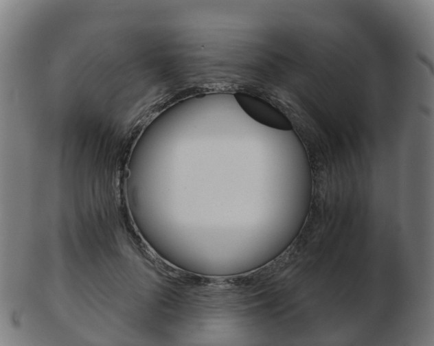 X0000103500696200809121012