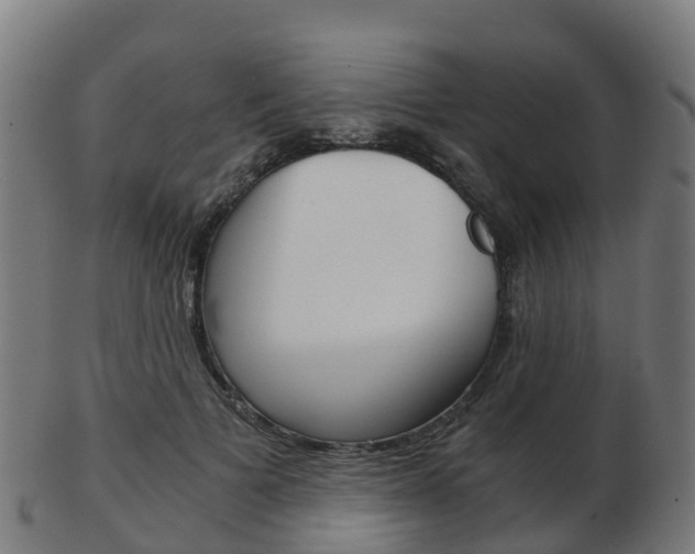 X0000103500697200809121012