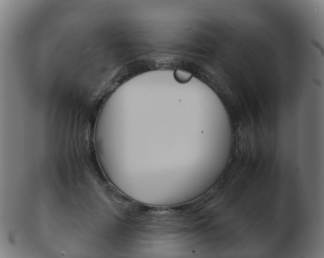 X0000103500698200809121012