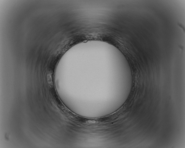 X0000103500699200809121012
