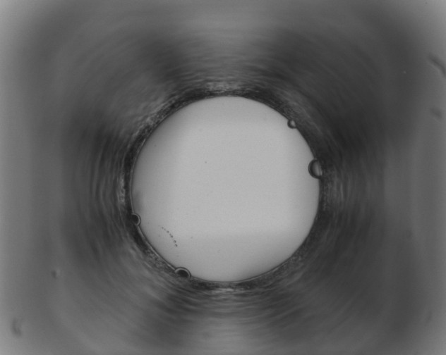X0000103500700200809121012