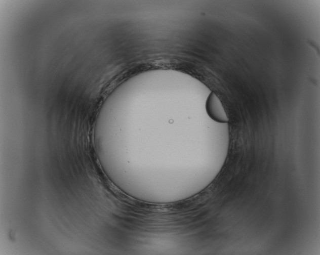 X0000103500702200809121012