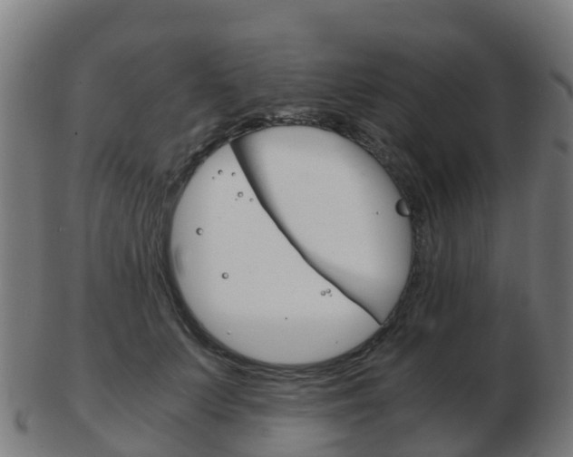 X0000103500703200809121012