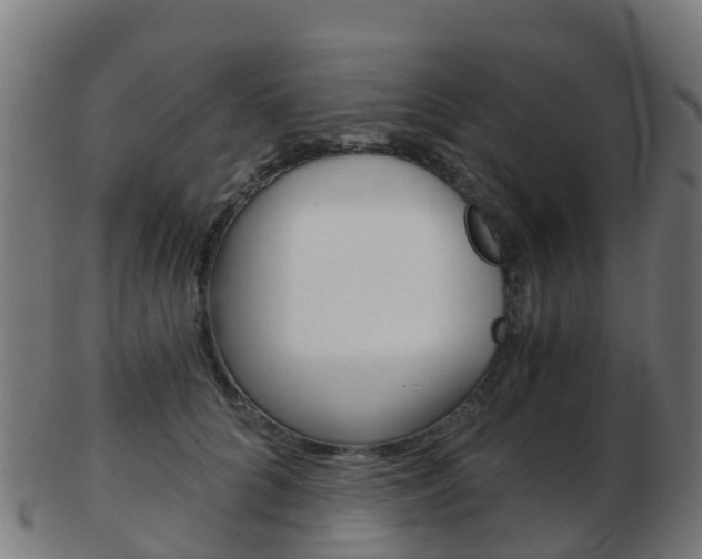 X0000103500704200809121012