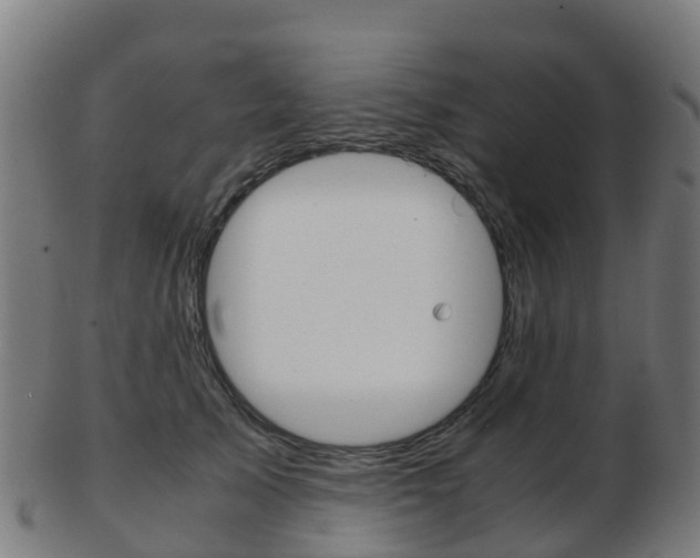 X0000103500705200809121012