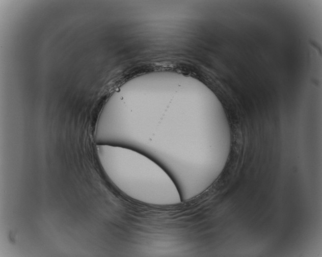 X0000103500707200809121012