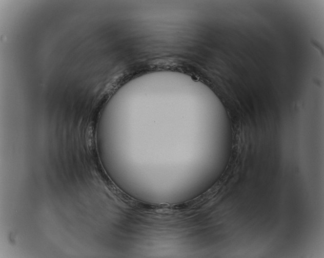 X0000103500708200809121012
