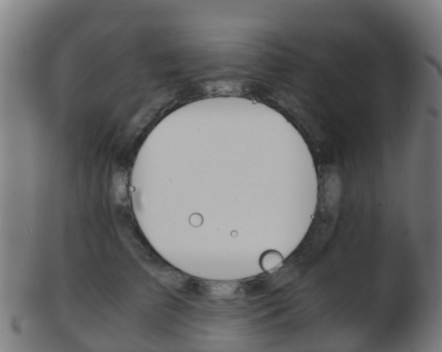 X0000103500709200809121012