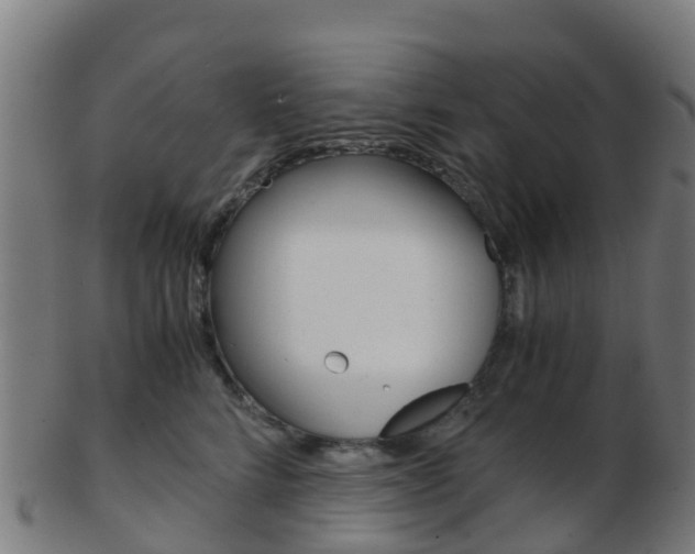 X0000103500712200809121012