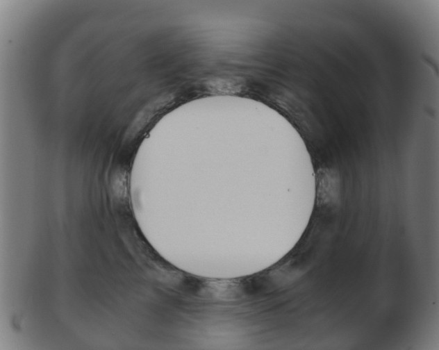 X0000103500713200809121012