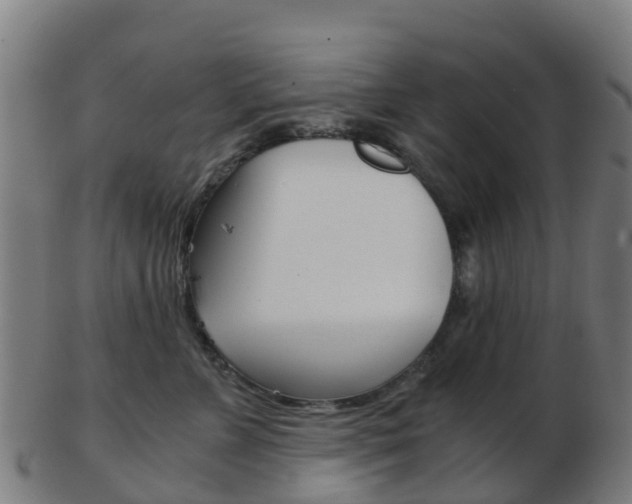 X0000103500715200809121012