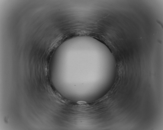 X0000103500716200809121012