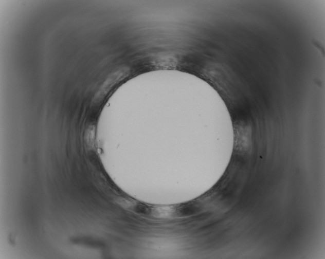 X0000103500717200809121012