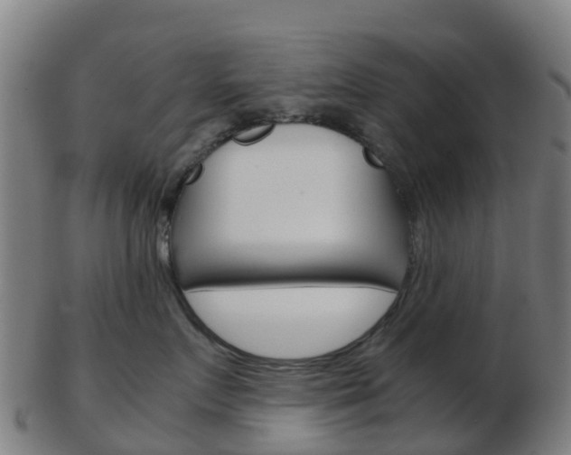 X0000103500719200809121012