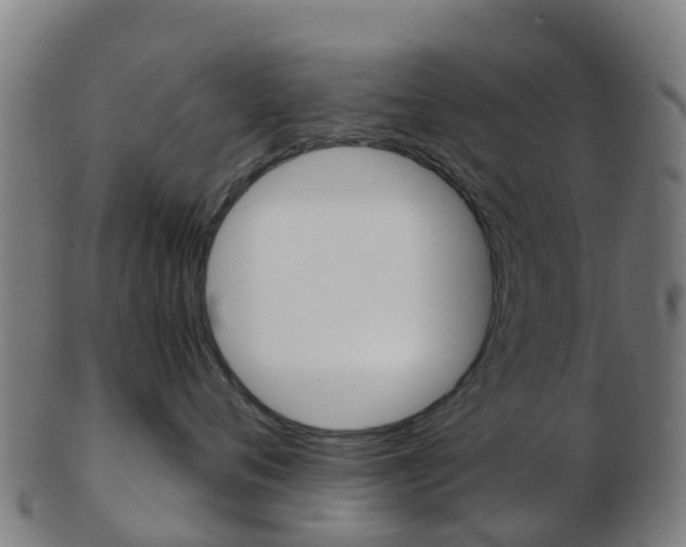 X0000103500720200809121012