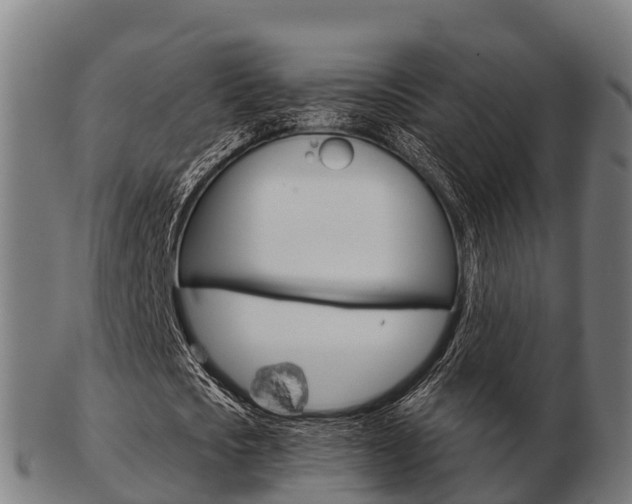 X0000103500721200809121011