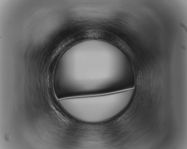 X0000103500722200809121011