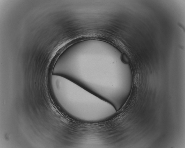 X0000103500724200809121011