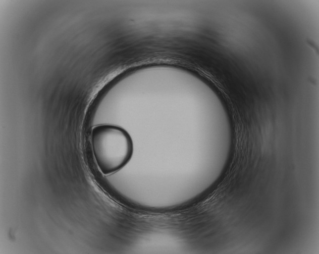 X0000103500726200809121011