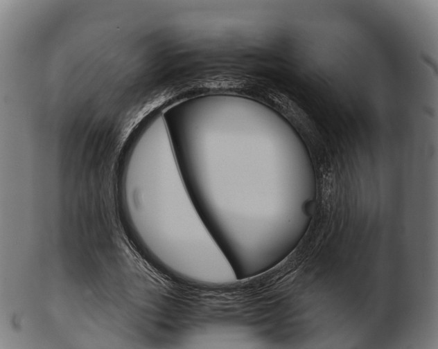 X0000103500727200809121011