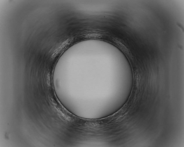 X0000103500729200809121011