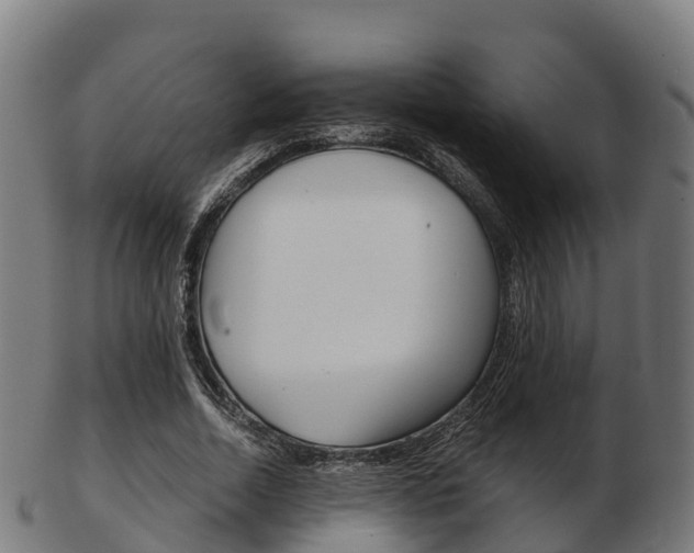 X0000103500730200809121011
