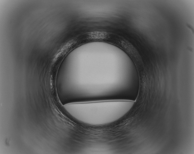 X0000103500731200809121011