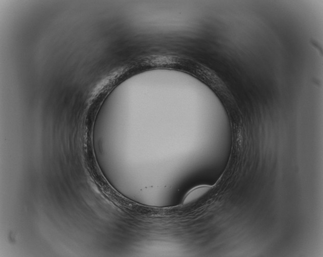 X0000103500732200809121011