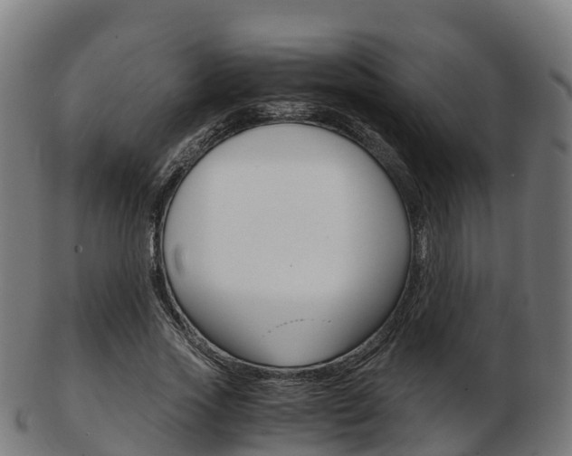 X0000103500733200809121011