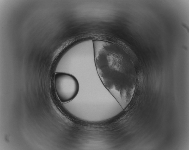 X0000103500734200809121011