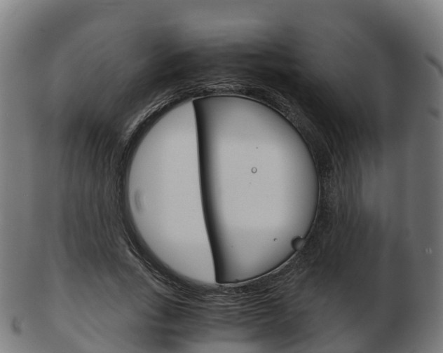 X0000103500735200809121011
