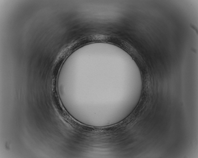X0000103500736200809121012