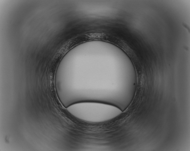 X0000103500737200809121012