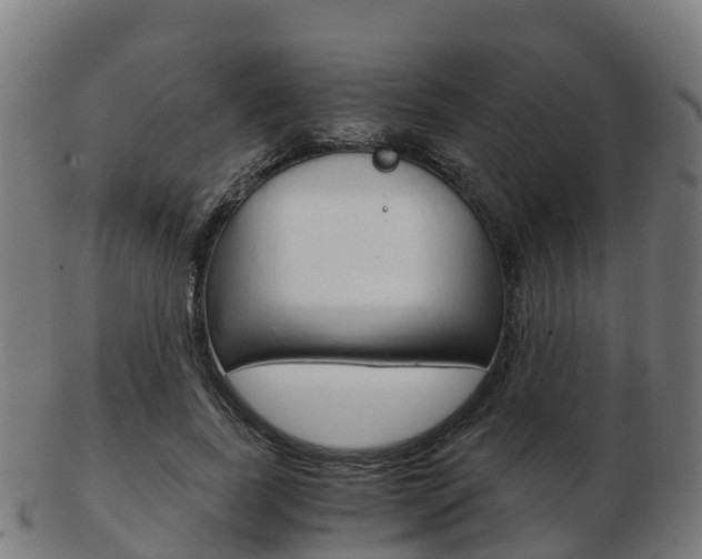 X0000103500739200809121012