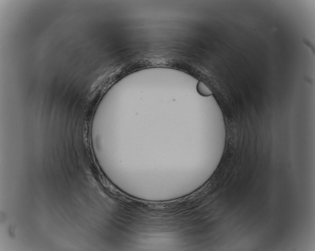 X0000103500740200809121012
