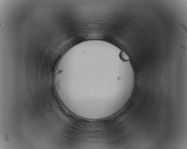 X0000103500741200809121012