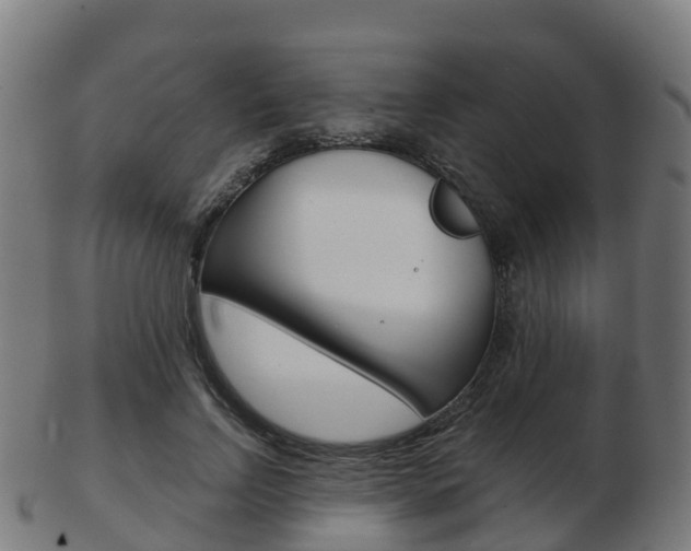 X0000103500742200809121012