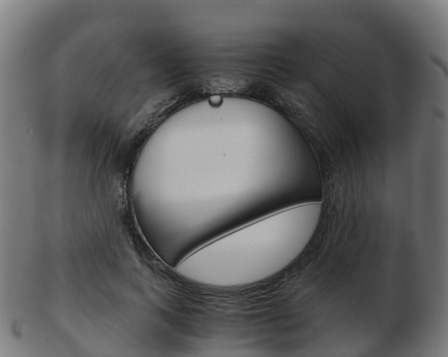 X0000103500743200809121012