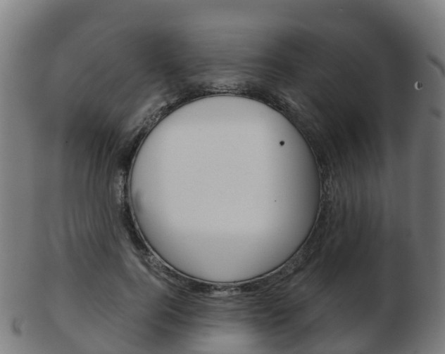 X0000103500744200809121012