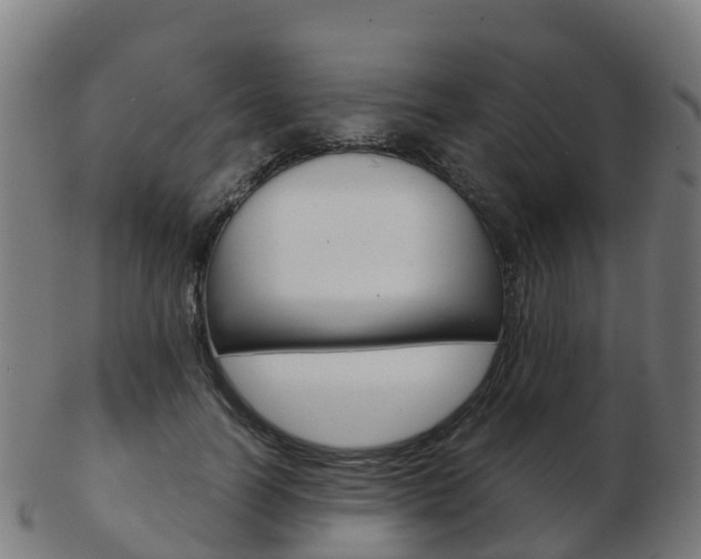 X0000103500746200809121012