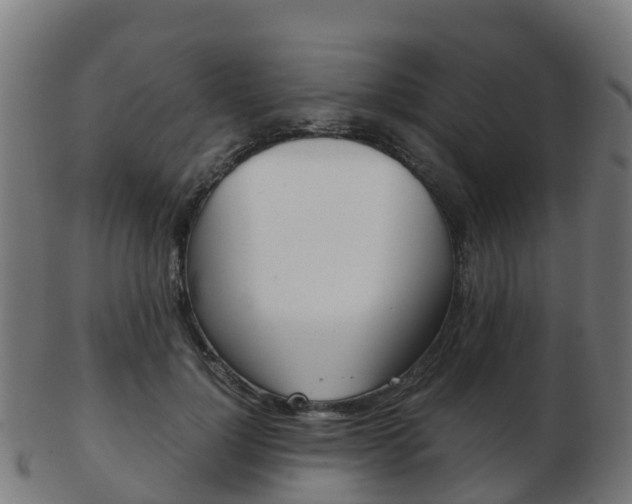 X0000103500748200809121012