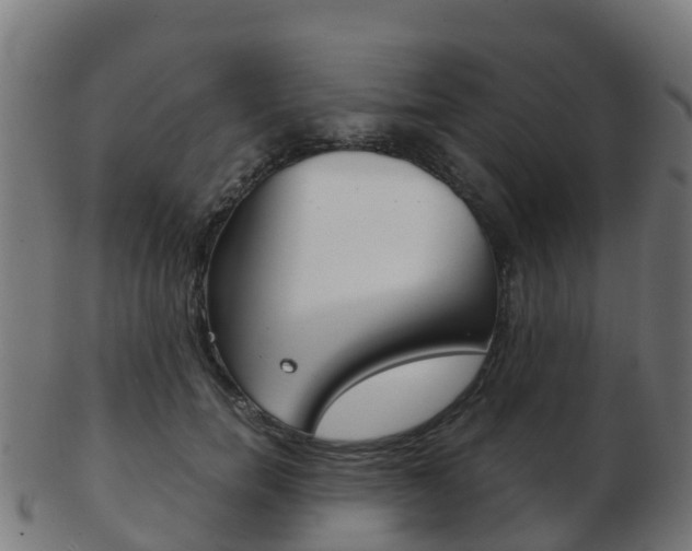 X0000103500750200809121012