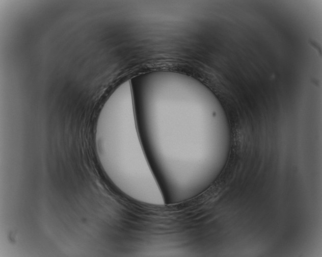 X0000103500751200809121012