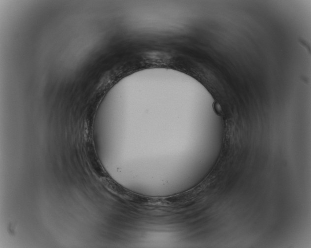 X0000103500752200809121012