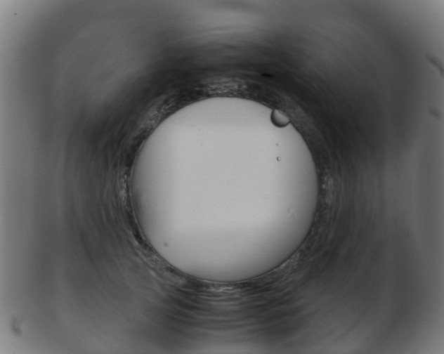 X0000103500753200809121012