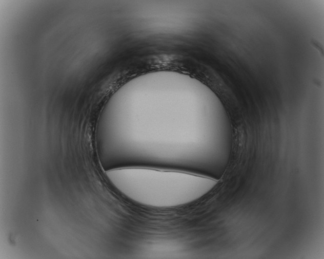 X0000103500754200809121012