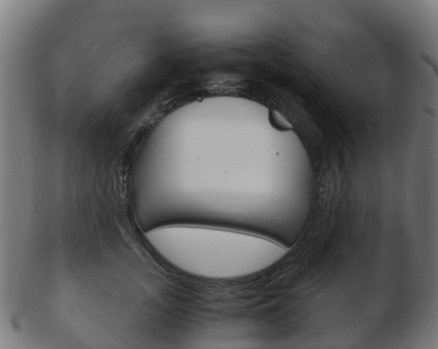 X0000103500755200809121012