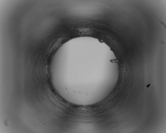 X0000103500756200809121012