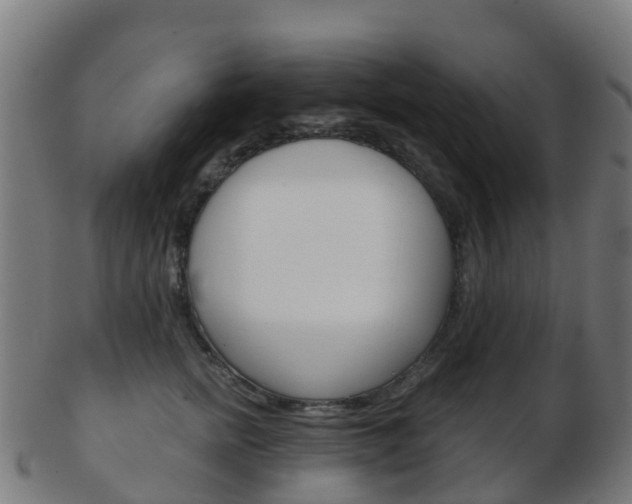 X0000103500758200809121012